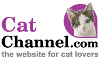 CatChannel.com